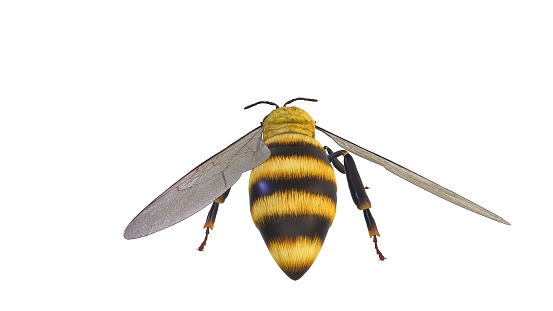 A 3D rendering of a yellow and black bee against a white background