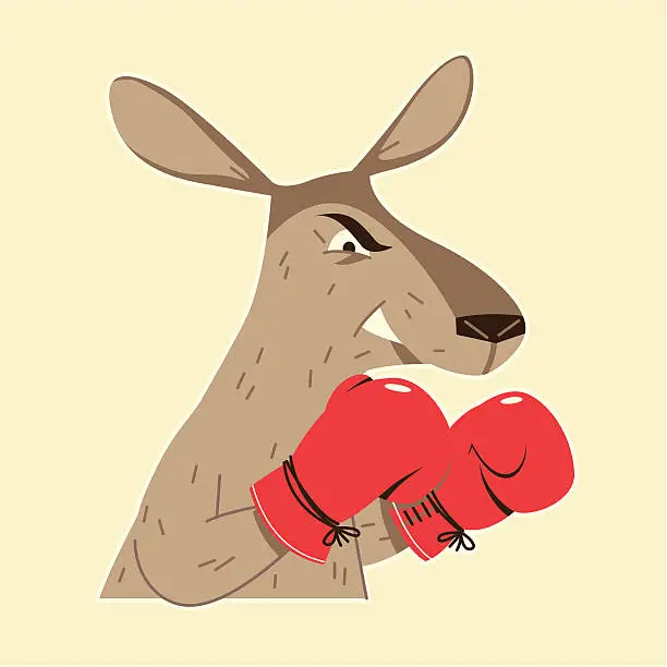 Vector illustration of Boxing Kangaroo