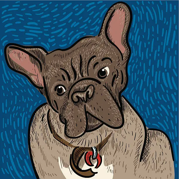 Vector illustration of Bruce The Dog