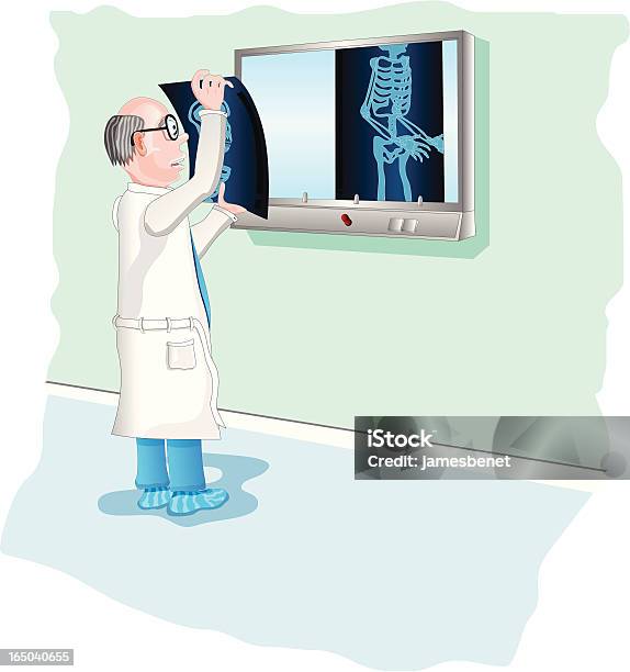 X Ray Medico Vettore - Immagini vettoriali stock e altre immagini di Cranio umano - Cranio umano, Dati, Gabbia toracica