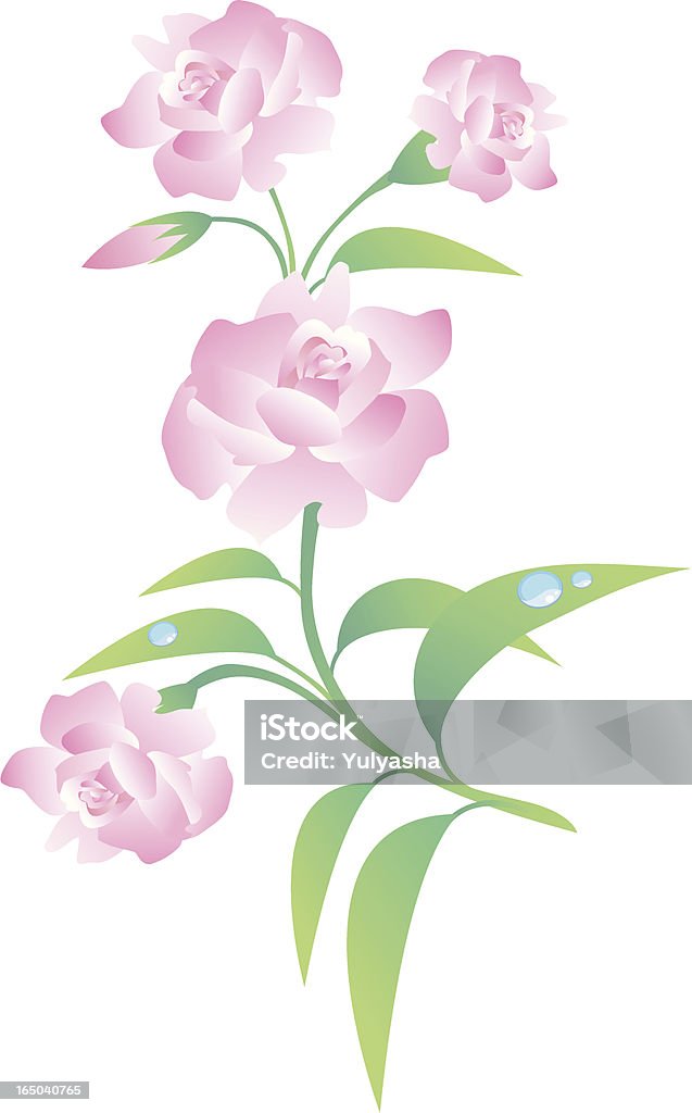 Roses - clipart vectoriel de Beauté libre de droits