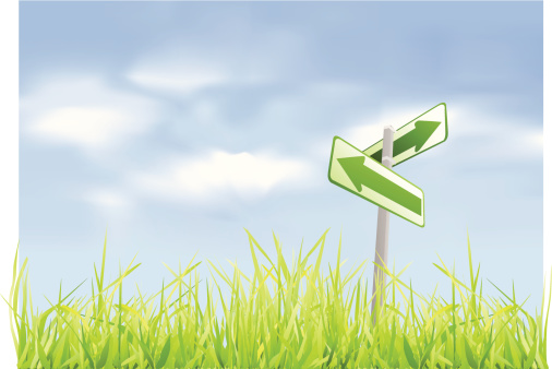 Simple vector of a green grassy field with a blue sky and a road sign with left and right arrows.