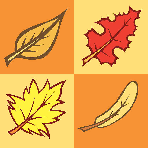 Fall Leaves vector art illustration