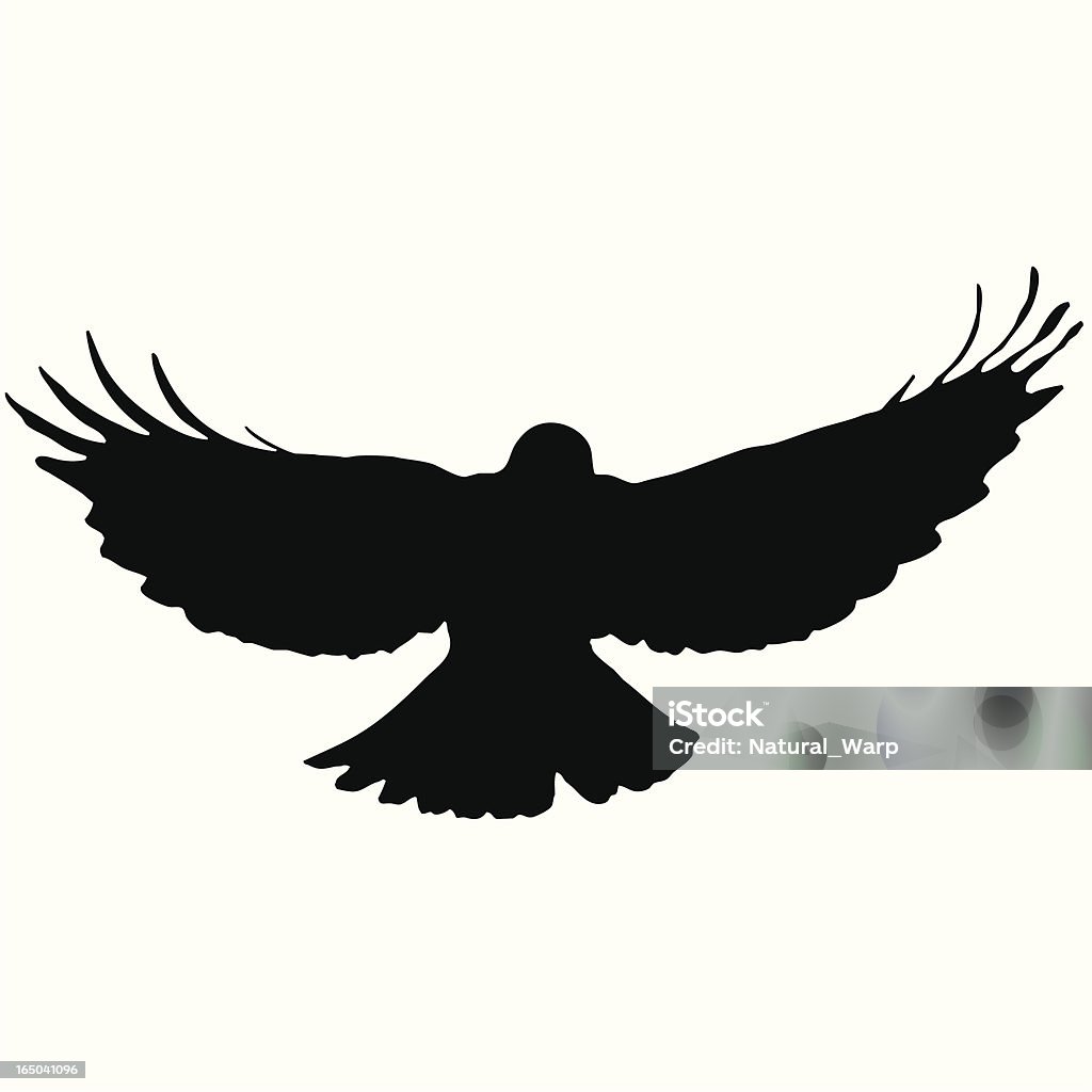 Bird Flying Silhouette 10 black raven / crow silhouette Raven - Bird stock vector
