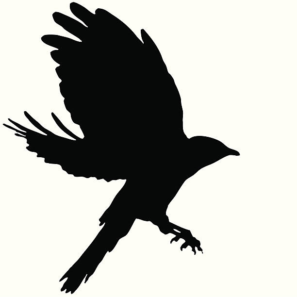 Bird Flying Silhouette 09 black raven / crow silhouette raven bird stock illustrations