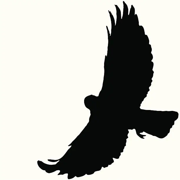 Vector illustration of Bird Flying Silhouette 07