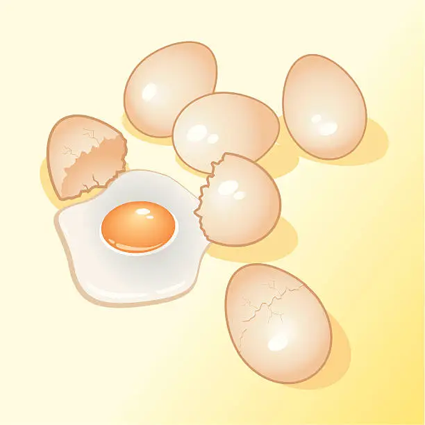 Vector illustration of cracked eggs