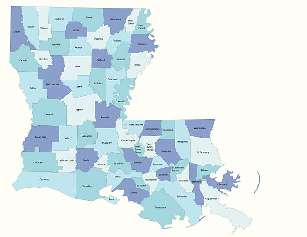 louisiana state - county map - louisiana stock illustrations