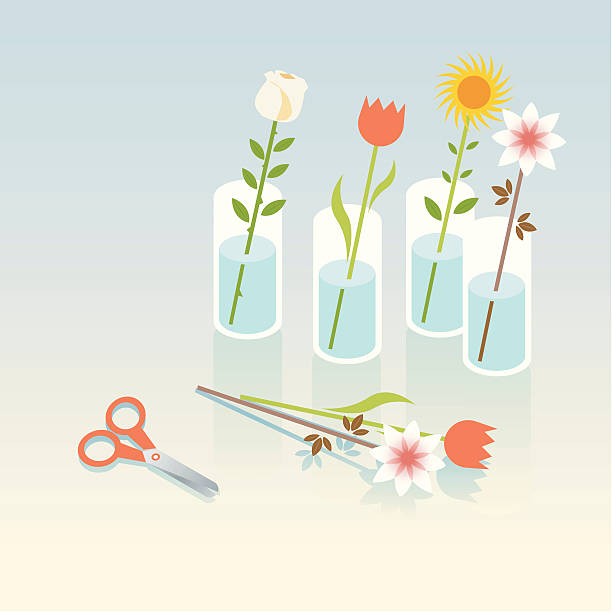 신선한 꽃송이 - tulip sunflower single flower flower stock illustrations