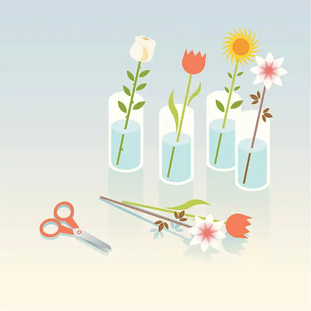 Vector illustration of fresh cut flowers