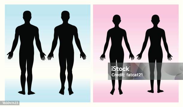 Vetores de Silhueta Do Homem e mais imagens de Corpo humano - Corpo humano, Silhueta, Vista Traseira