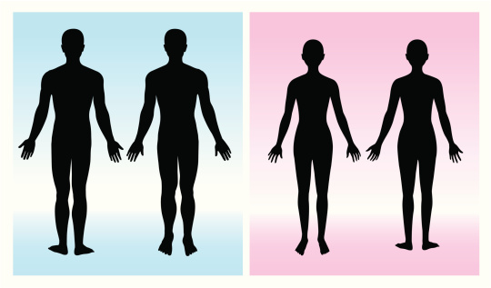 silhouette of a man and woman structure of the body. Illustration with front and back position.