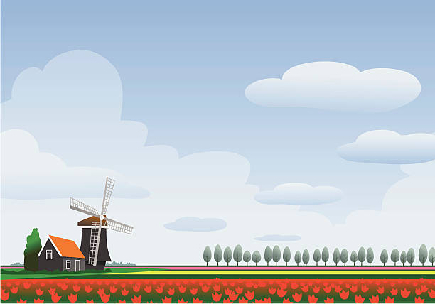 ilustraciones, imágenes clip art, dibujos animados e iconos de stock de homescapes-holanda - field tulip flower tree
