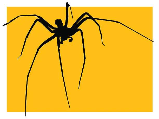 Vector illustration of Spider silhouettes with yellow background