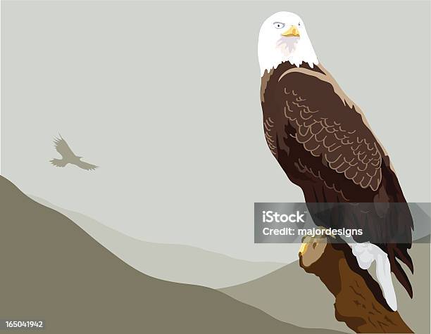 Weißkopfseeadler Eagle Stock Vektor Art und mehr Bilder von Adler - Adler, Fliegen, Ast - Pflanzenbestandteil