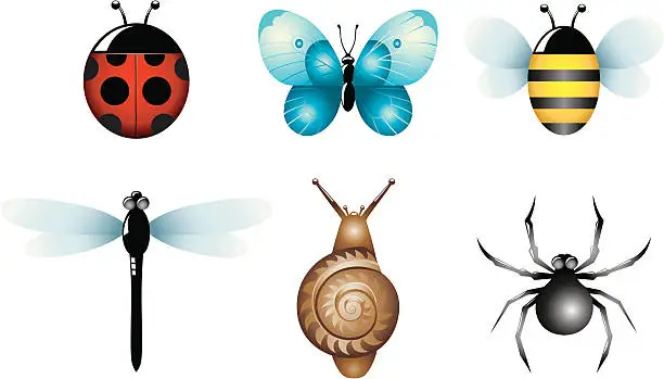 Vector illustration of Garden bugs