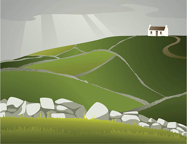 illustrations, cliparts, dessins animés et icônes de homescapes-irlande - northern ireland illustrations