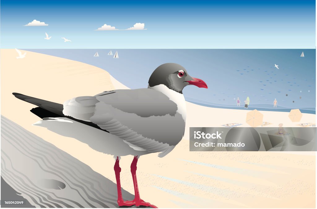 Punto de vista: Gaviota reidora americana - arte vectorial de Vector libre de derechos