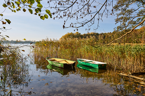 Two wooden boats moored in reeds on the shore of a lake in Poland