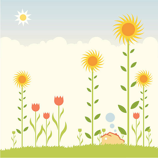 ilustraciones, imágenes clip art, dibujos animados e iconos de stock de sueños de un jardín - sunflower flower flower bed light