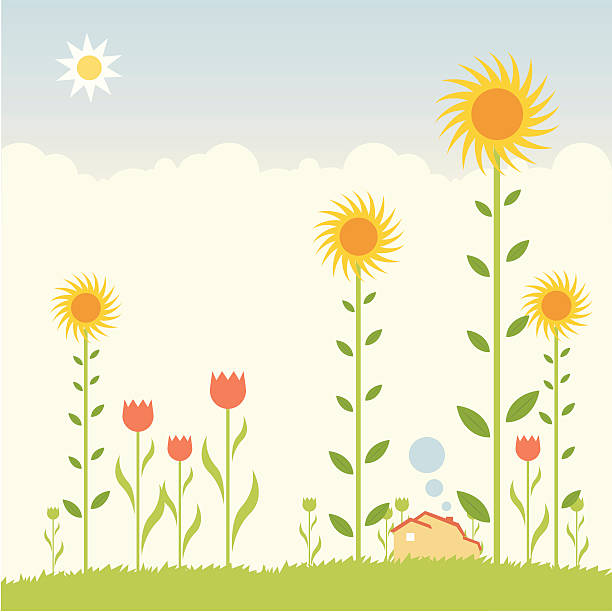 illustrazioni stock, clip art, cartoni animati e icone di tendenza di sognare di un giardino - tulip sunflower single flower flower