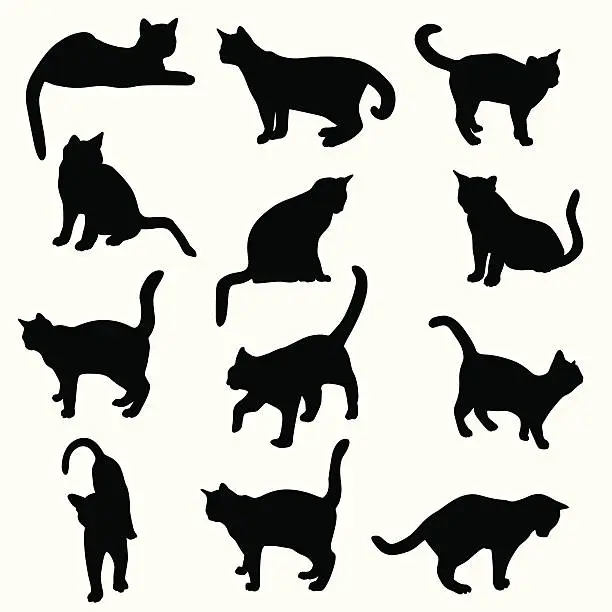 Vector illustration of Cats Kittens Felines Vector Silhouette