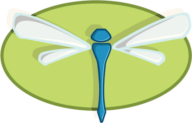 Dragon Fly vector art illustration