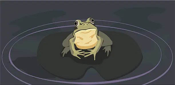 Vector illustration of Frog on Lily Pad Vector
