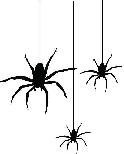 spiders - aciculum点のイラスト素材／クリップアート素材／マンガ素材／アイコン素材