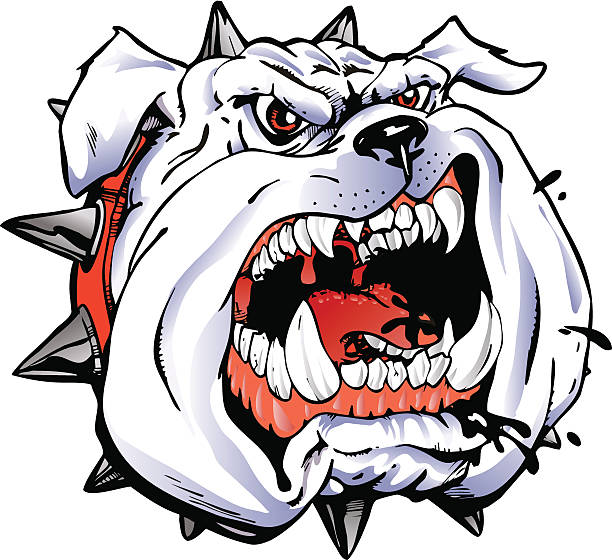 Bulldog 3 spot colors plus black. Simple gradients and shapes for easy printing and separating. Can easily be converted to 2 spot colors plus black. Black and white outline version also included. File formats: EPS and 300dpi JPG mean dog stock illustrations