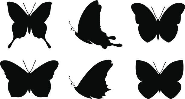 Simple butterfly shapes vector art illustration