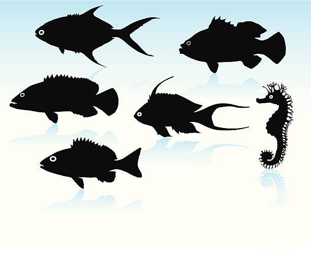 魚のシルエット - grouper点のイラスト素材／クリップアート素材／マンガ素材／アイコン素材