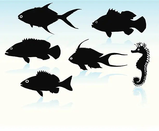 Vector illustration of Fish Silhouettes