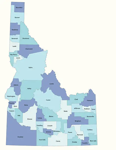 Vector illustration of Idaho state - county map