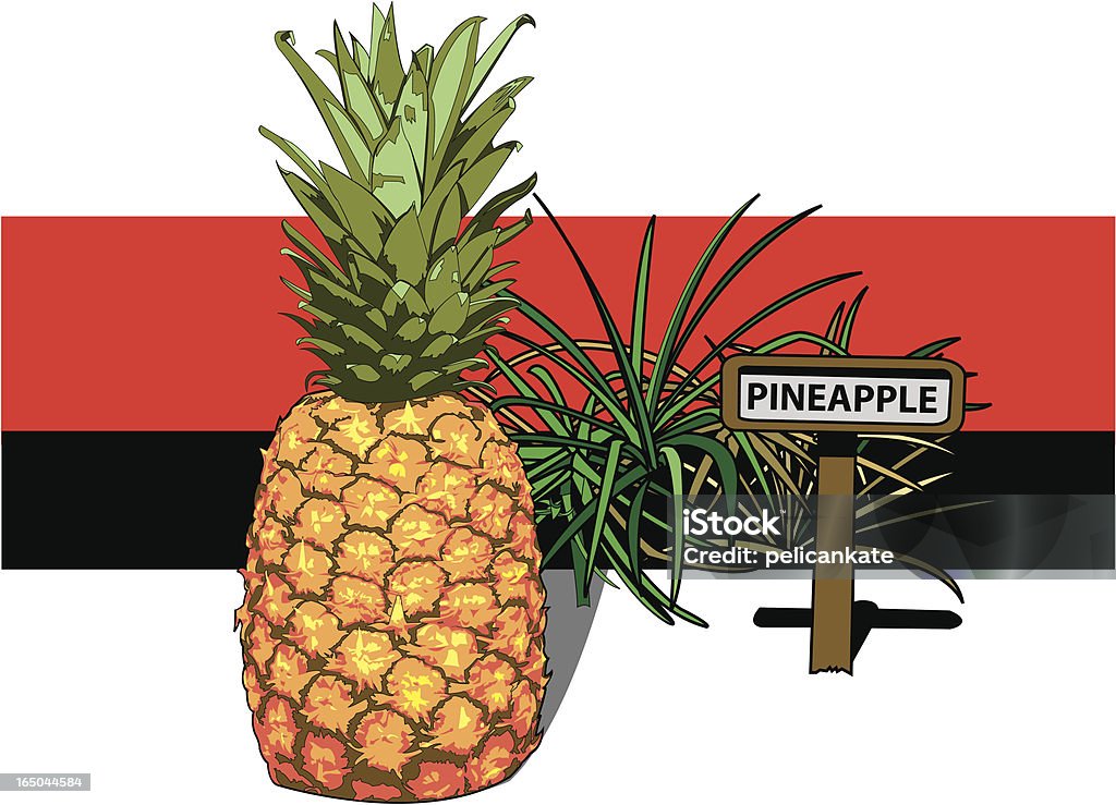 Ananas Farm - arte vettoriale royalty-free di Ananas