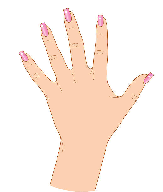 Uñas Decoradas - Banco de fotos e imágenes de stock - iStock Uñas Decoradas - Banco de fotos e imágenes de stock - iStock