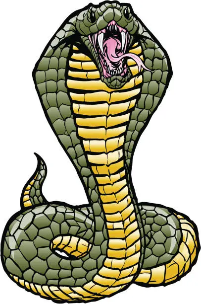 Vector illustration of Clip art of a green and yellow hissing cobra