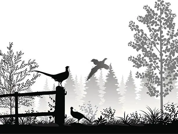 Vector illustration of Landscape with pheasants