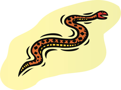 Vector illustration of a rattle snake