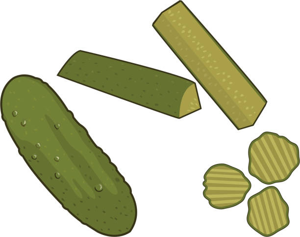 Pickles Vector illustration of a variety of pickles. File contains ai8, eps ai8, and a high res jpg. dill pickle stock illustrations