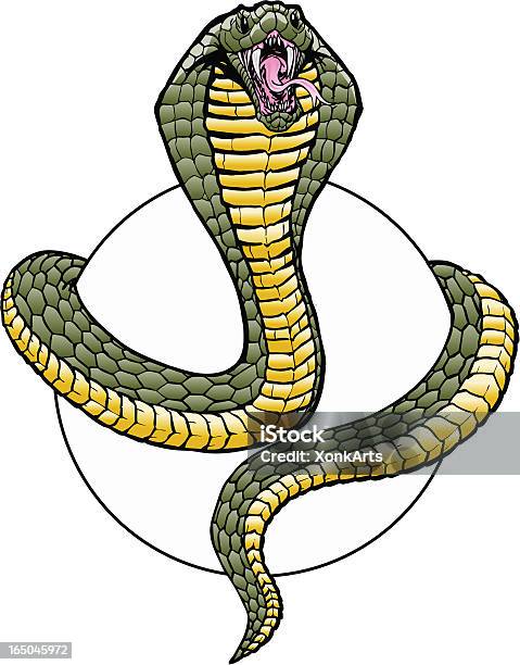 Cobra 감아서 코브라에 대한 스톡 벡터 아트 및 기타 이미지 - 코브라, 벡터, 독사류