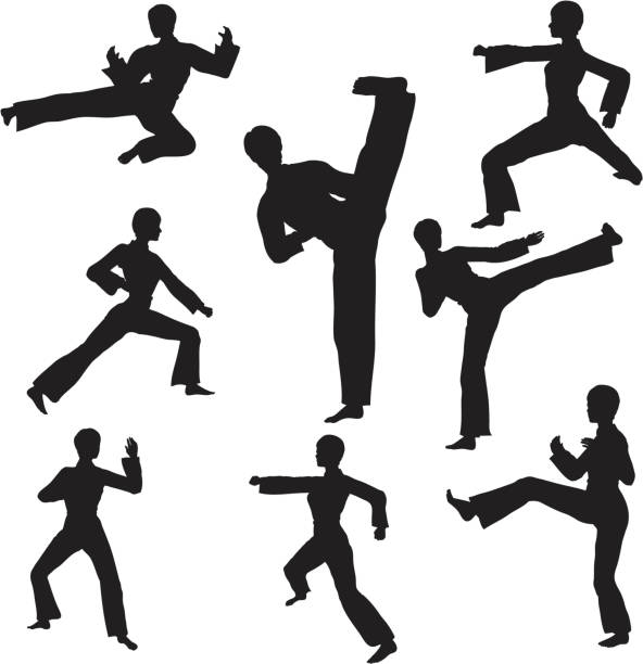 ilustraciones, imágenes clip art, dibujos animados e iconos de stock de colección de silueta de artes marciales - karate kicking tae kwon do martial