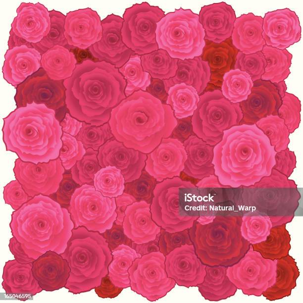 Rosas Square - Arte vetorial de stock e mais imagens de Rosa - Flor - Rosa - Flor, Vermelho, Amor