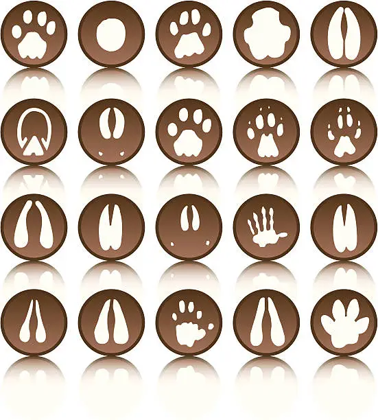Vector illustration of African Foot prints