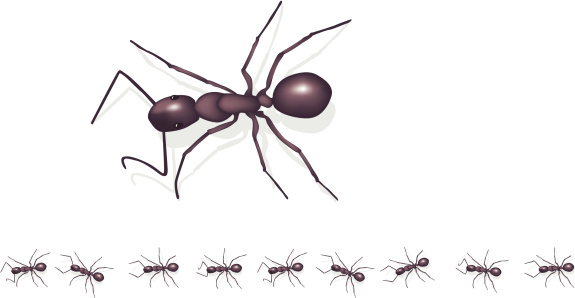 Marching ants