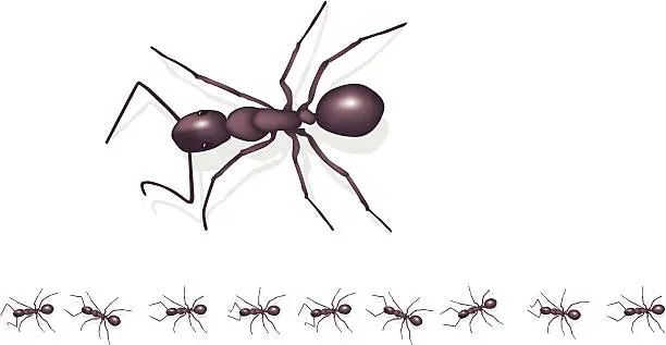 Vector illustration of Marching ants