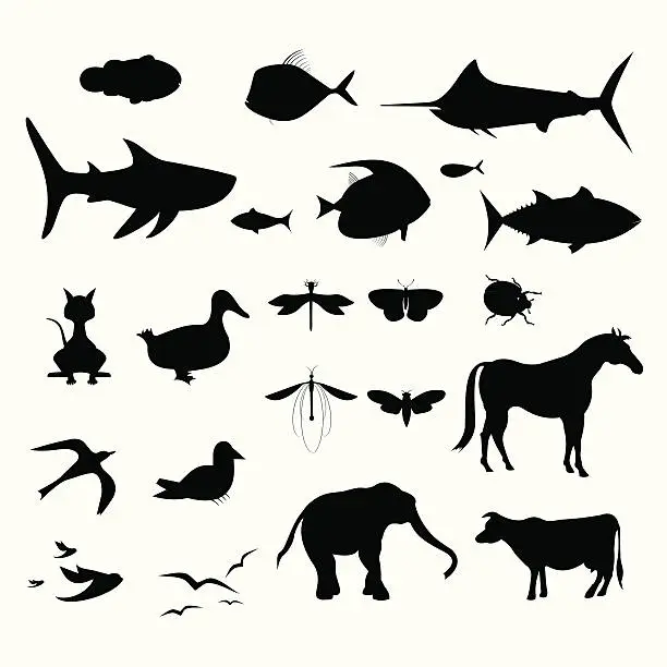 Vector illustration of Vertebrate & Invertebrate Silhouettes