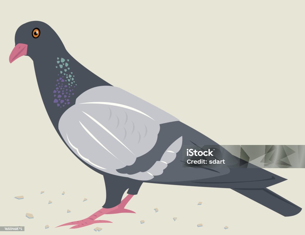 Một Hình Ảnh Hoạt Hình Của Một Con Chim Bồ Câu Thân Thiện Hình ...