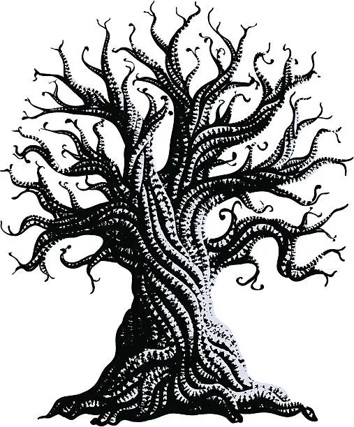 Vector illustration of gnarly old tree