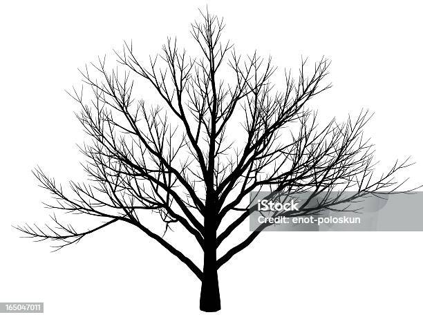 Drzewa Zima - Stockowe grafiki wektorowe i więcej obrazów Bez ludzi - Bez ludzi, Białe tło, Biały